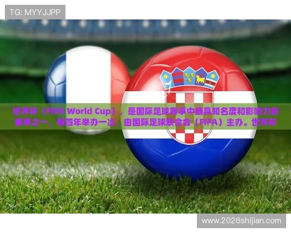 从14年世界杯决赛看足球运动的魅力与全球影响力