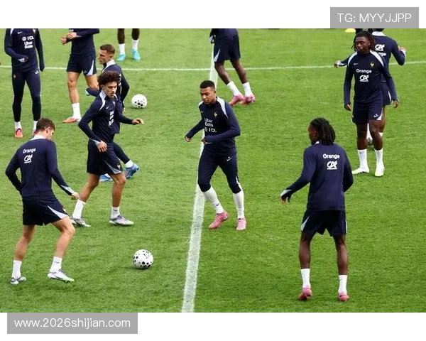 法国国家队世界杯冠军次数排行榜全面解析，揭示历史上夺冠最多的足球强队